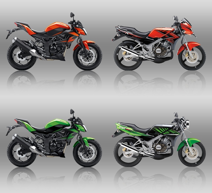 Ninja R-SS & Z250SL 2