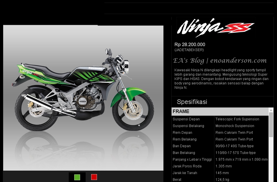 Ninja 150SS
