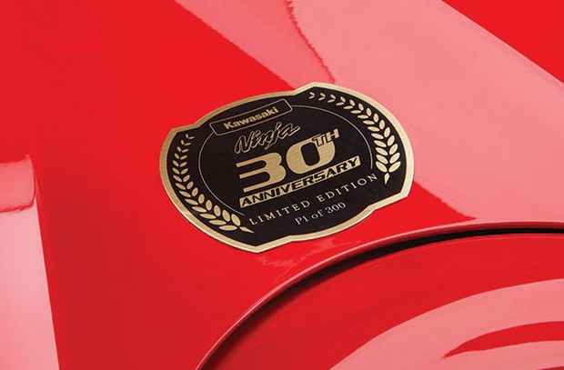Ninja 30 Years Main