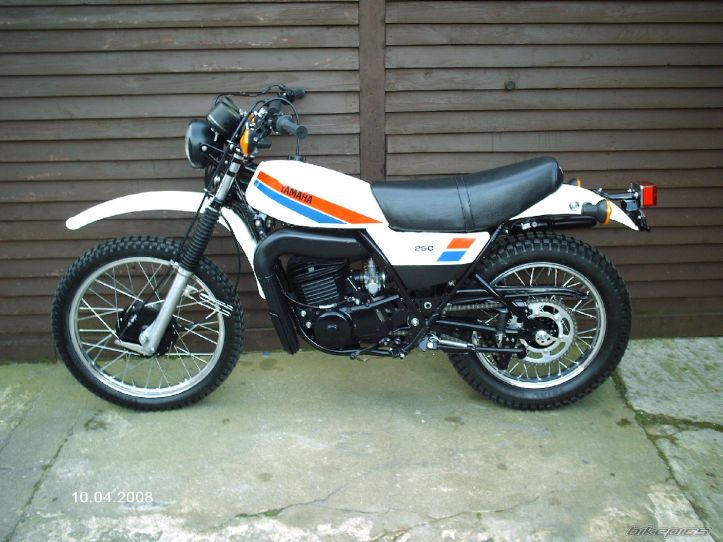 1981 DT 250