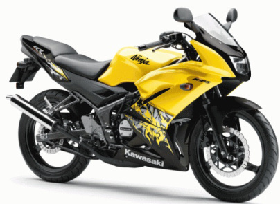 Ninja RR New
