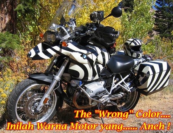 BMW R1200GS Zebra