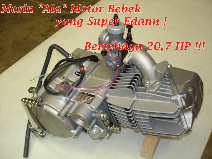 Daytona Anima 150 Main