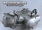 Daytona Anima 150
