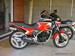 Honda MVX 250F 11