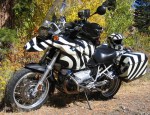 wpid-bmw-r1200gs-zebra.jpg.jpeg