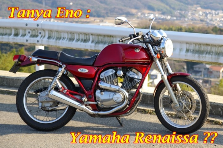 Yamaha SRV 250 Renaissa