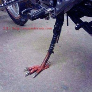 Standar Samping Ceker Ayam