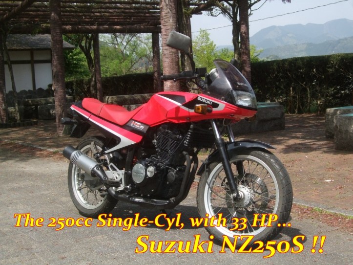 Suzuki NZ250 Main