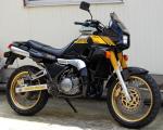 Yamaha TDR250 14