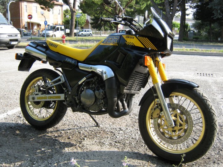 Yamaha TDR250 8