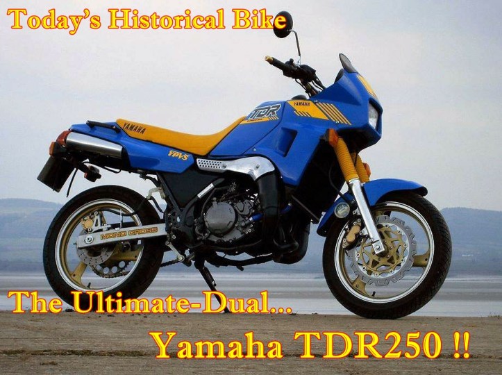 Yamaha TDR250 Main