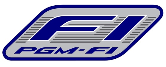 PGM-FI Logo