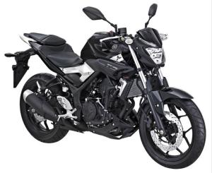 Yamaha MT-25