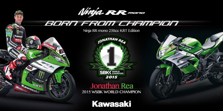 Ninja RR Mono KRT Edition