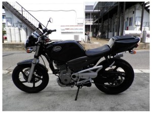 Suzuki SG250 Goose