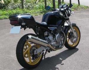 Suzuki SG250 Goose