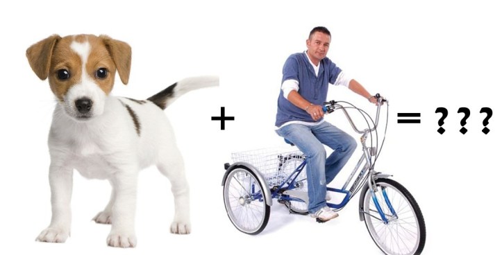 Cynosphere - Dog Powered Bycyle Cynosphere - Dog Powered Bycyle