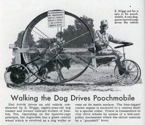 Cynosphere - Dog Powered Bycyle