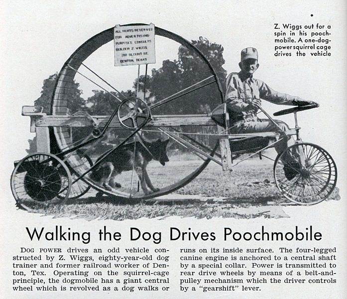 Cynosphere - Dog Powered Bycyle Cynosphere - Dog Powered Bycyle