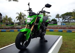 Kawasaki Z125 Pro Indonesia