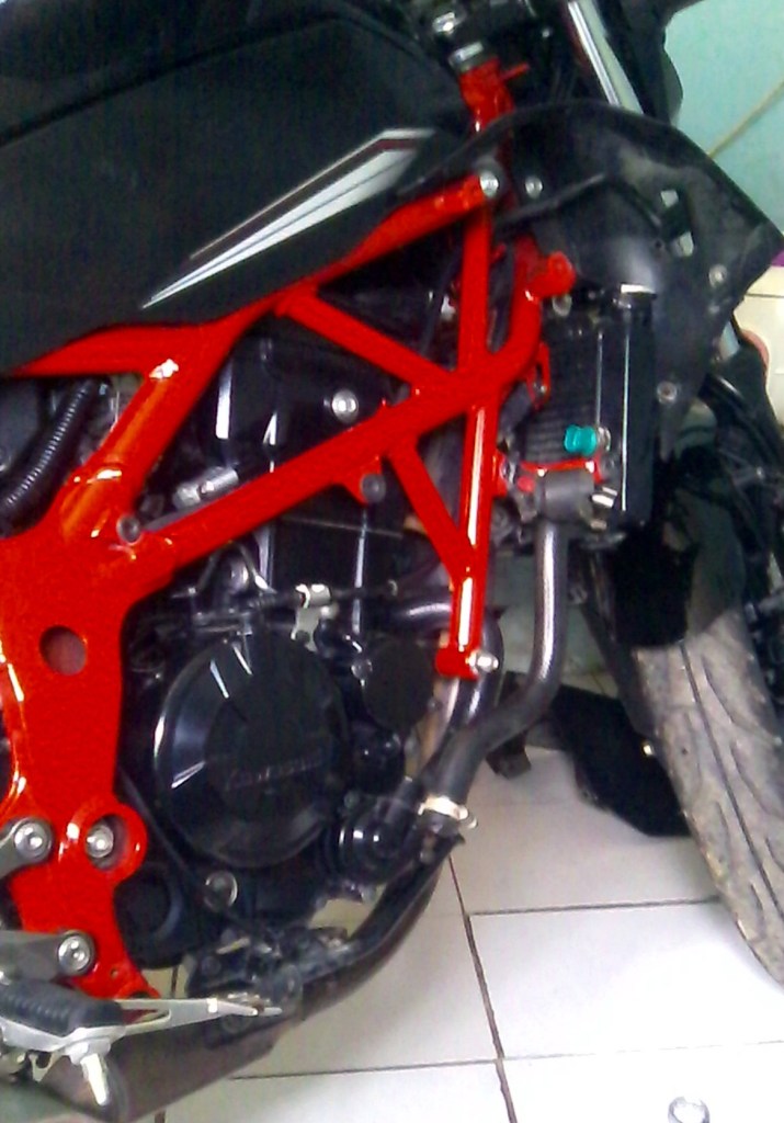 Kawasaki Z250SL ZED 14