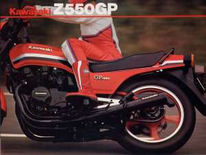 Kawasaki ZED Z-History
