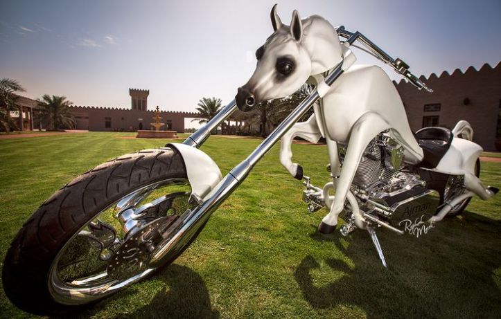 Horse Bike