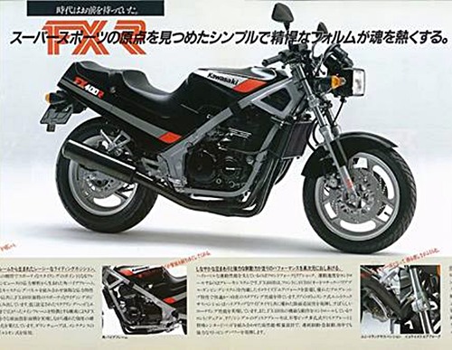 Kawasaki FX400R