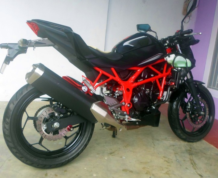 Kawasaki Z250SL ZED 17