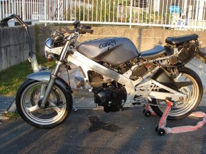 Suzuki GSX-S 250 Cobra